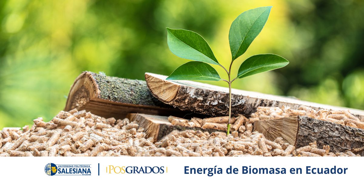 Energía de Biomasa en Ecuador